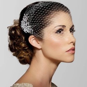 Beautiful birdcage veil with detachable crystal combs